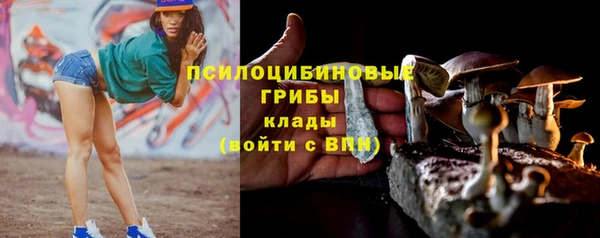 каннабис Ельня