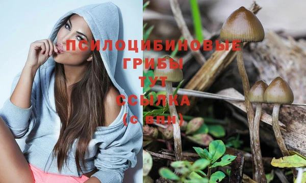прущий лед Елизово