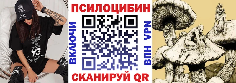 Купить закладки  Лодейное Поле  Галлюциногенные грибы прущие грибы 